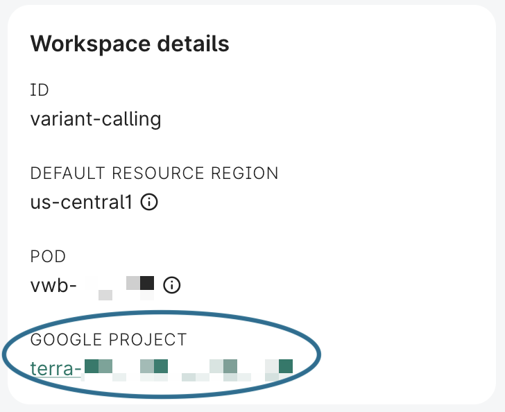 Screenshot of Workspace details, highlighting Google project ID.