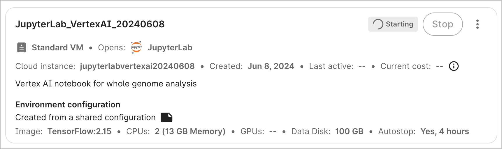 Screenshot of a cloud environment's details card, showing a gray 'Starting' button.