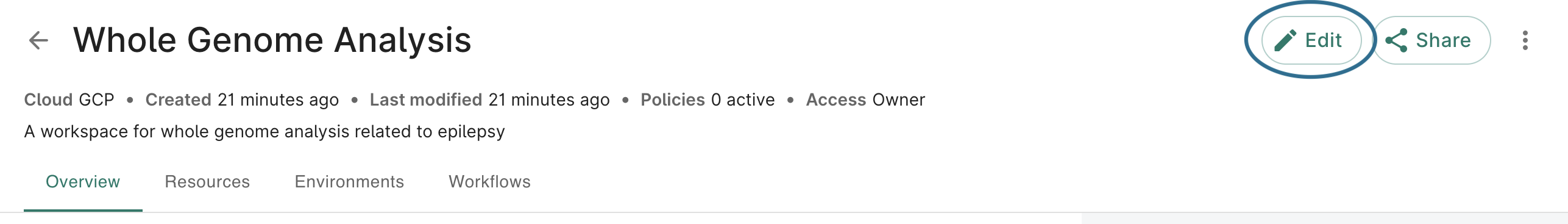 Screenshot of a workspace overview page, with edit button highlighted.